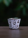 ALCHEMIAE 琉 New Moon GIN × S-presso Cup Assortment / Stardust No.02