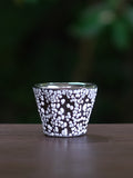 ALCHEMIAE 琉 New Moon GIN × S-presso Cup Assortment / Stardust No.03