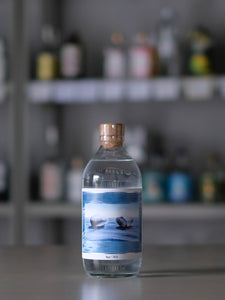 the traditional Aqua 2024