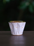 ALCHEMIAE 琉 New Moon GIN × S-presso Cup Assortment / Beach No.11