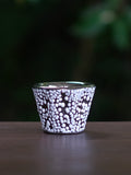 ALCHEMIAE 琉 New Moon GIN × S-presso Cup Assortment / Stardust No.01