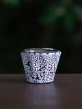 ALCHEMIAE 琉 New Moon GIN × S-presso Cup Assortment / Stardust No.12
